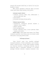 Investicinis projektas. Verslo planas: draudimas  UAB "ERGO Lietuva" 11 puslapis