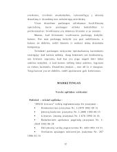 Investicinis projektas. Verslo planas: draudimas  UAB "ERGO Lietuva" 12 puslapis