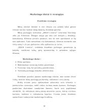 Investicinis projektas. Verslo planas: draudimas  UAB "ERGO Lietuva" 18 puslapis