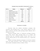 Investicinis projektas. Verslo planas: draudimas  UAB "ERGO Lietuva" 19 puslapis