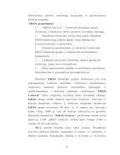 Investicinis projektas. Verslo planas: draudimas  UAB "ERGO Lietuva" 6 puslapis