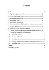 Socialinių paslaugų įstaigų, šeimynų steigimas,  išlaikymas ir bendradarbiavimas su visuomeninėmis organizacijomis, kaip savival 2 puslapis
