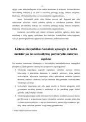 Socialinių paslaugų įstaigų, šeimynų steigimas,  išlaikymas ir bendradarbiavimas su visuomeninėmis organizacijomis, kaip savival 12 puslapis