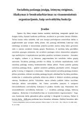 Socialinių paslaugų įstaigų, šeimynų steigimas,  išlaikymas ir bendradarbiavimas su visuomeninėmis organizacijomis, kaip savival 3 puslapis