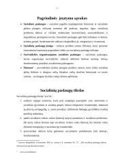 Socialinių paslaugų įstaigų, šeimynų steigimas,  išlaikymas ir bendradarbiavimas su visuomeninėmis organizacijomis, kaip savival 5 puslapis