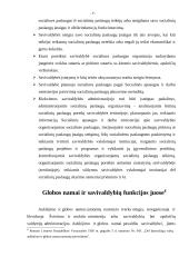 Socialinių paslaugų įstaigų, šeimynų steigimas,  išlaikymas ir bendradarbiavimas su visuomeninėmis organizacijomis, kaip savival 9 puslapis