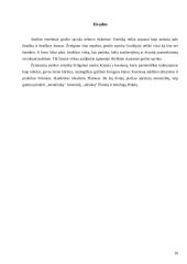 Sokrato ir Platono estetinės teorijos 11 puslapis