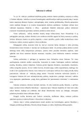 Sokrato ir Platono estetinės teorijos 4 puslapis