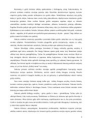 Sokrato ir Platono estetinės teorijos 5 puslapis