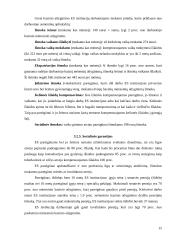 Įsidarbinimo sąlygos Lietuvos piliečiams Europos Sąjungos (ES) institucijose 15 puslapis