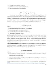 Įsidarbinimo sąlygos Lietuvos piliečiams Europos Sąjungos (ES) institucijose 5 puslapis