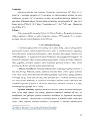 Įsidarbinimo sąlygos Lietuvos piliečiams Europos Sąjungos (ES) institucijose 10 puslapis