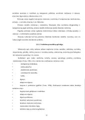 Specialiųjų poreikių įvertinimas 12 puslapis
