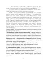 Specialiųjų poreikių įvertinimas 7 puslapis