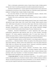 Išsivysčiusių šalių tarptautinė ekonominė politika: Kanados atvejis 18 puslapis