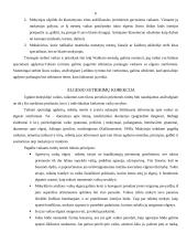 Specialiųjų poreikių vaikai 6 puslapis
