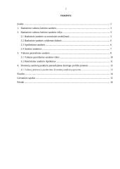 Išvestinių vertybinių popierių nauda Lietuvos finansų rinkai 2 puslapis