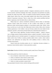 Išvestinių vertybinių popierių nauda Lietuvos finansų rinkai 3 puslapis