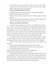 Išvestinių vertybinių popierių nauda Lietuvos finansų rinkai 5 puslapis