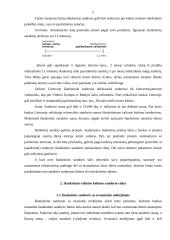 Išvestinių vertybinių popierių nauda Lietuvos finansų rinkai 6 puslapis