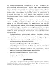 Išvestinių vertybinių popierių nauda Lietuvos finansų rinkai 8 puslapis