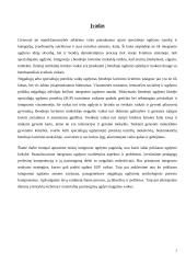 Specialiųjų poreikių vaikų integracija bendrojo lavinimo mokykloje 2 puslapis