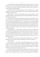 Įvaikinimo teisiniai pagrindai 16 puslapis