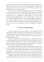 Įvaikinimo teisiniai pagrindai 17 puslapis