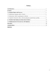 Įvairaus amžiaus žmonių požiūris į sportinę rekreaciją Vilniaus miesto lazdynų rajone 2 puslapis