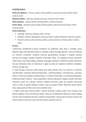 Įvairaus amžiaus žmonių požiūris į sportinę rekreaciją Vilniaus miesto lazdynų rajone 3 puslapis