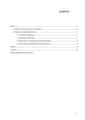 Sutartinė atsakomybė 2 puslapis