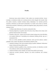 Sutartinė atsakomybė 11 puslapis