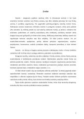 Sutartinė atsakomybė 3 puslapis