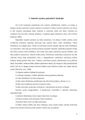 Sutartinė atsakomybė 4 puslapis