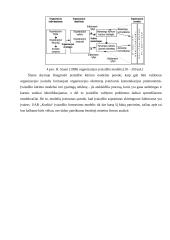 Įvaizdžio formavimas: buitinės chemijos prekės ir kosmetika UAB "Koslita" 11 puslapis
