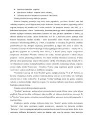 Įvaizdžio formavimas: buitinės chemijos prekės ir kosmetika UAB "Koslita" 13 puslapis