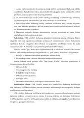 Įvaizdžio formavimas: buitinės chemijos prekės ir kosmetika UAB "Koslita" 16 puslapis