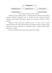 Įvaizdžio formavimas: buitinės chemijos prekės ir kosmetika UAB "Koslita" 20 puslapis