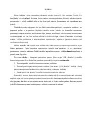 Įvaizdžio formavimas: buitinės chemijos prekės ir kosmetika UAB "Koslita" 4 puslapis