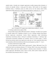 Įvaizdžio formavimas: buitinės chemijos prekės ir kosmetika UAB "Koslita" 9 puslapis