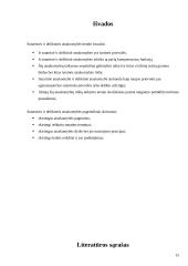 Sutartinė ir deliktinė atsakomybė 15 puslapis