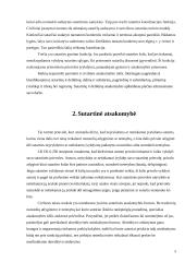 Sutartinė ir deliktinė atsakomybė 5 puslapis