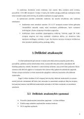 Sutartinė ir deliktinė atsakomybė 9 puslapis