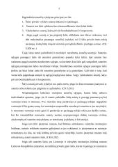 Sutartis ir jos vykdymas 3 puslapis
