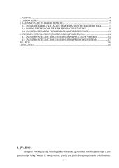 Jaunimo darbo rinkos ypatybės 2 puslapis