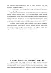 Jaunimo darbo rinkos ypatybės 13 puslapis