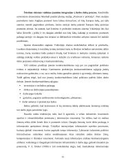 Jaunimo darbo rinkos ypatybės 15 puslapis