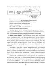 Jaunimo darbo rinkos ypatybės 17 puslapis