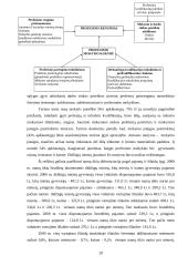 Jaunimo darbo rinkos ypatybės 20 puslapis