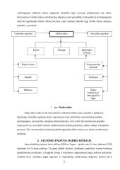 Jaunimo darbo rinkos ypatybės 6 puslapis